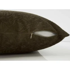 Ensemble de 2 coussins décoratifs en velours 18"