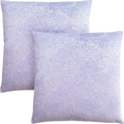 Ensemble de 2 coussins décoratifs en velours 18"