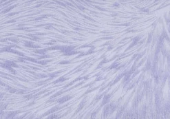Ensemble de 2 coussins décoratifs en velours 18