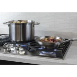 GE Profile Table de cuisson Gaz Acier inoxydable 36" Acier inoxydable - PGP9036SLSS