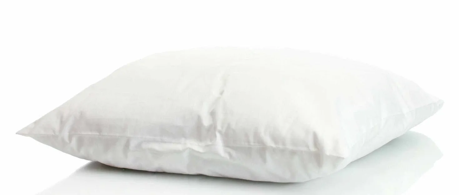 Oreiller en plumes et duvet