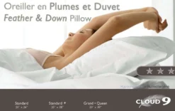 Oreiller en plumes et duvet