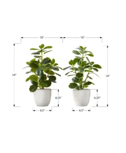 Plante artificielle 14