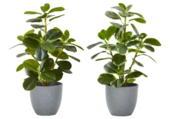 Plante artificielle 14" (boîte de 2)