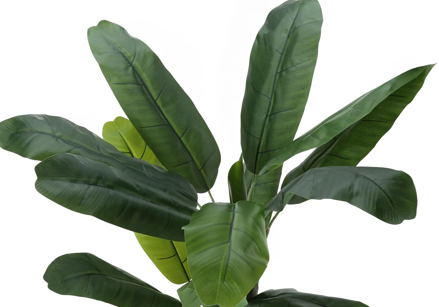Plante artificielle - 55"H, bananier intérieur pot 6"