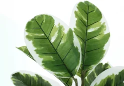 Plante artificielle - 27