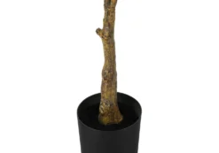 Plante artificielle - 52