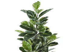 Plante artificielle - 52