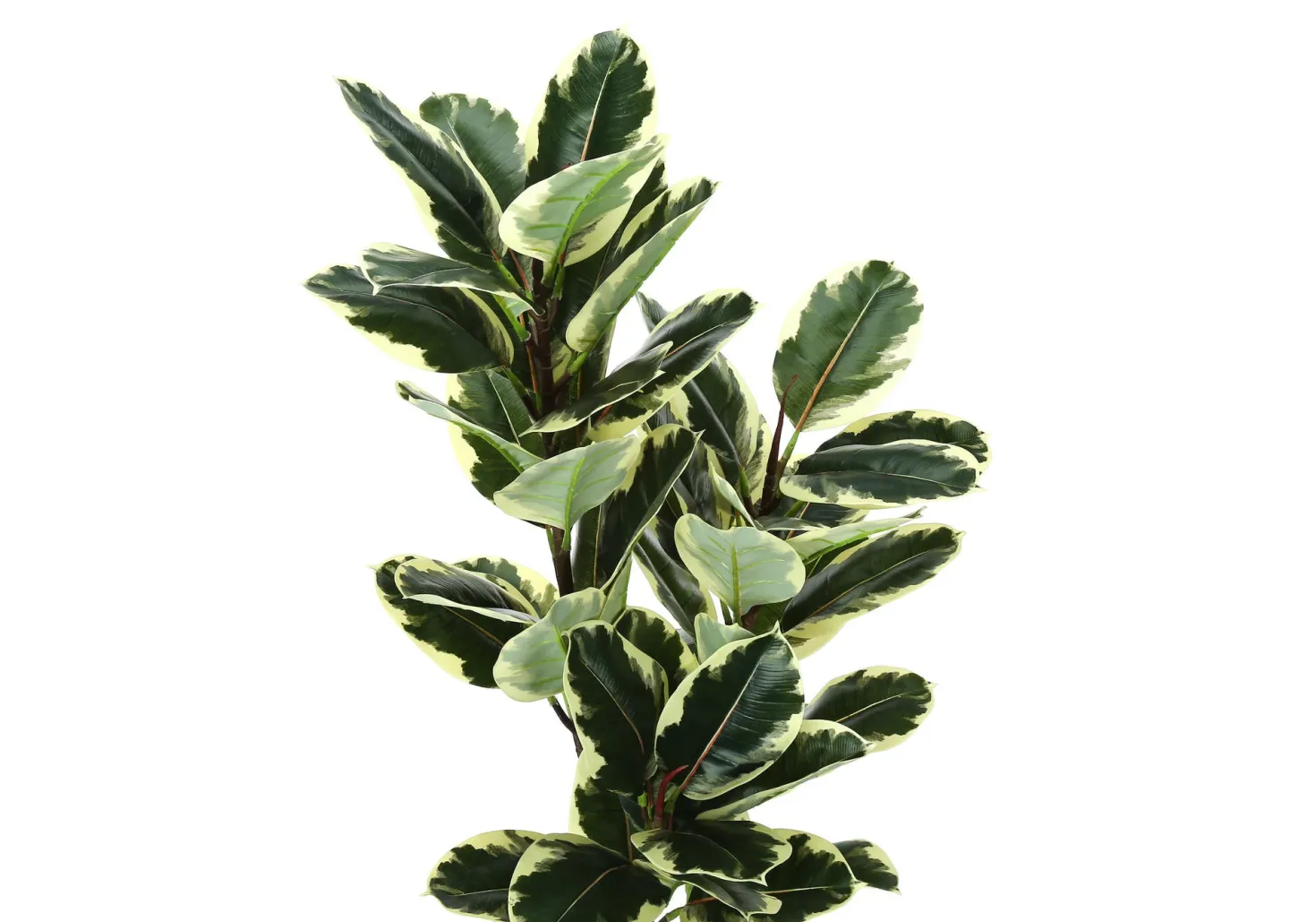 Plante artificielle - 47"H, chêne intérieur pot 5"