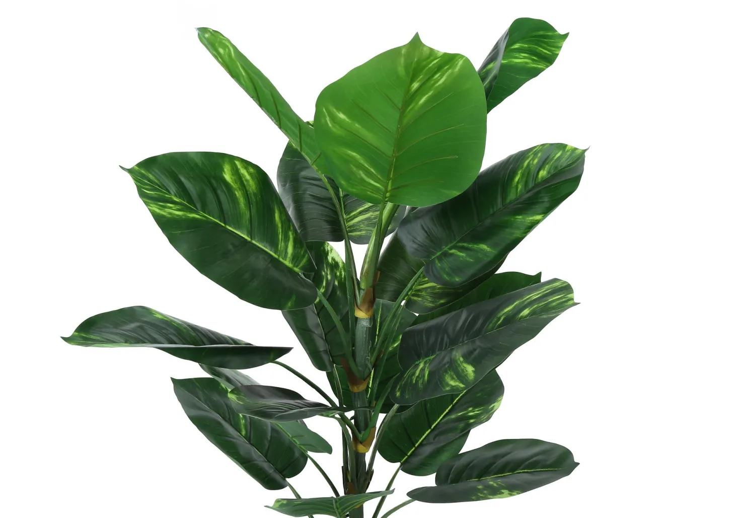 Plante artificielle - 54"H/dieffenbachia intérieur/pot 6"