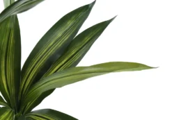 Plante artificielle - 51