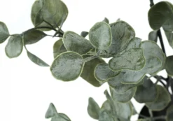 Plante artificielle - 35