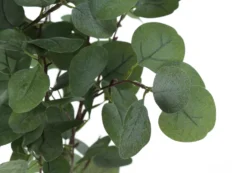 Plante artificielle - 46