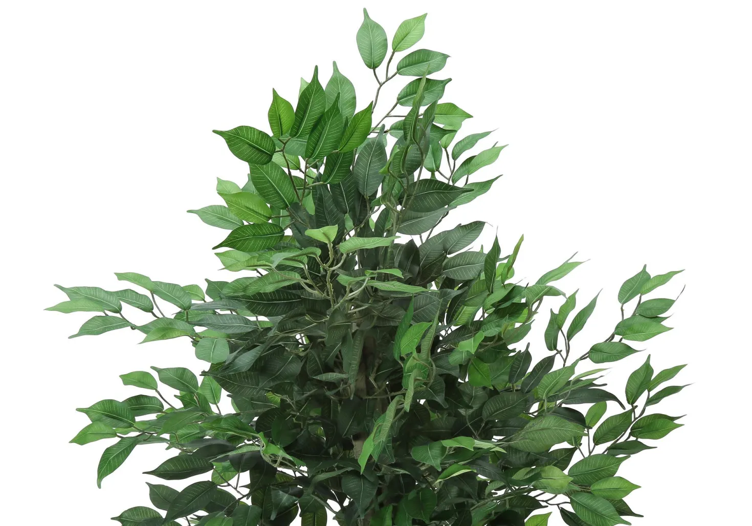 Plante artificielle - 58"H, ficus intérieur pot 6"