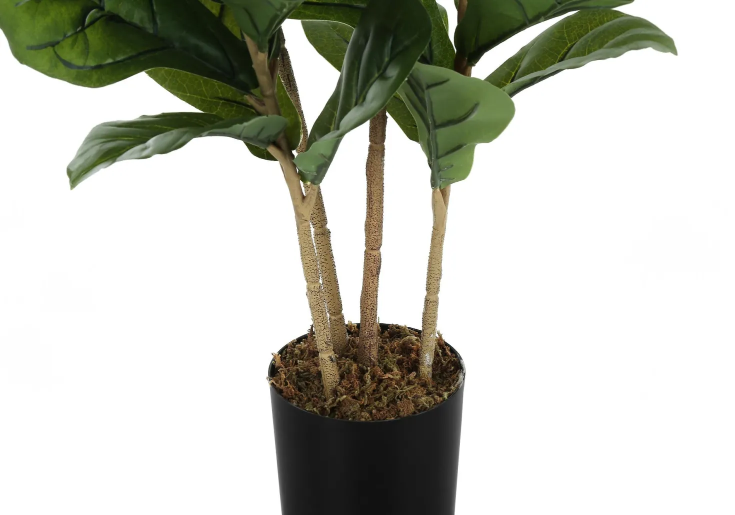 Plante artificielle - 41"H, fiddle intérieur pot 5"