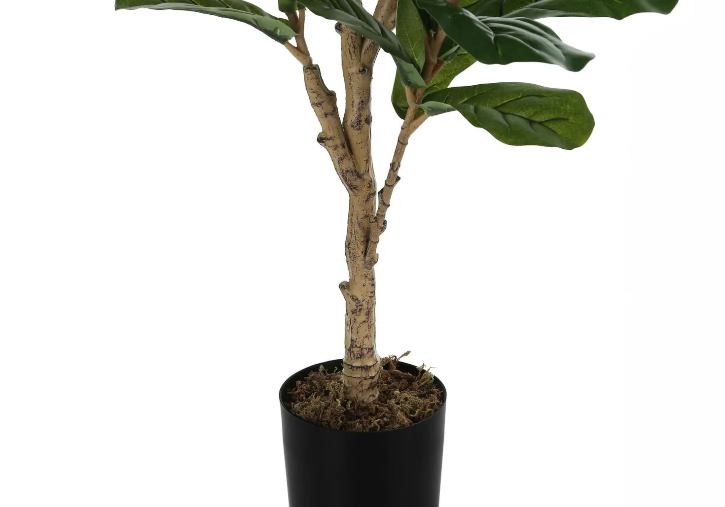 Plante artificielle - 47"H, fiddle intérieur pot 5"