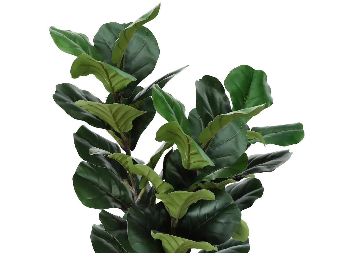 Plante artificielle - 32"H, figuier intérieur pot 6"