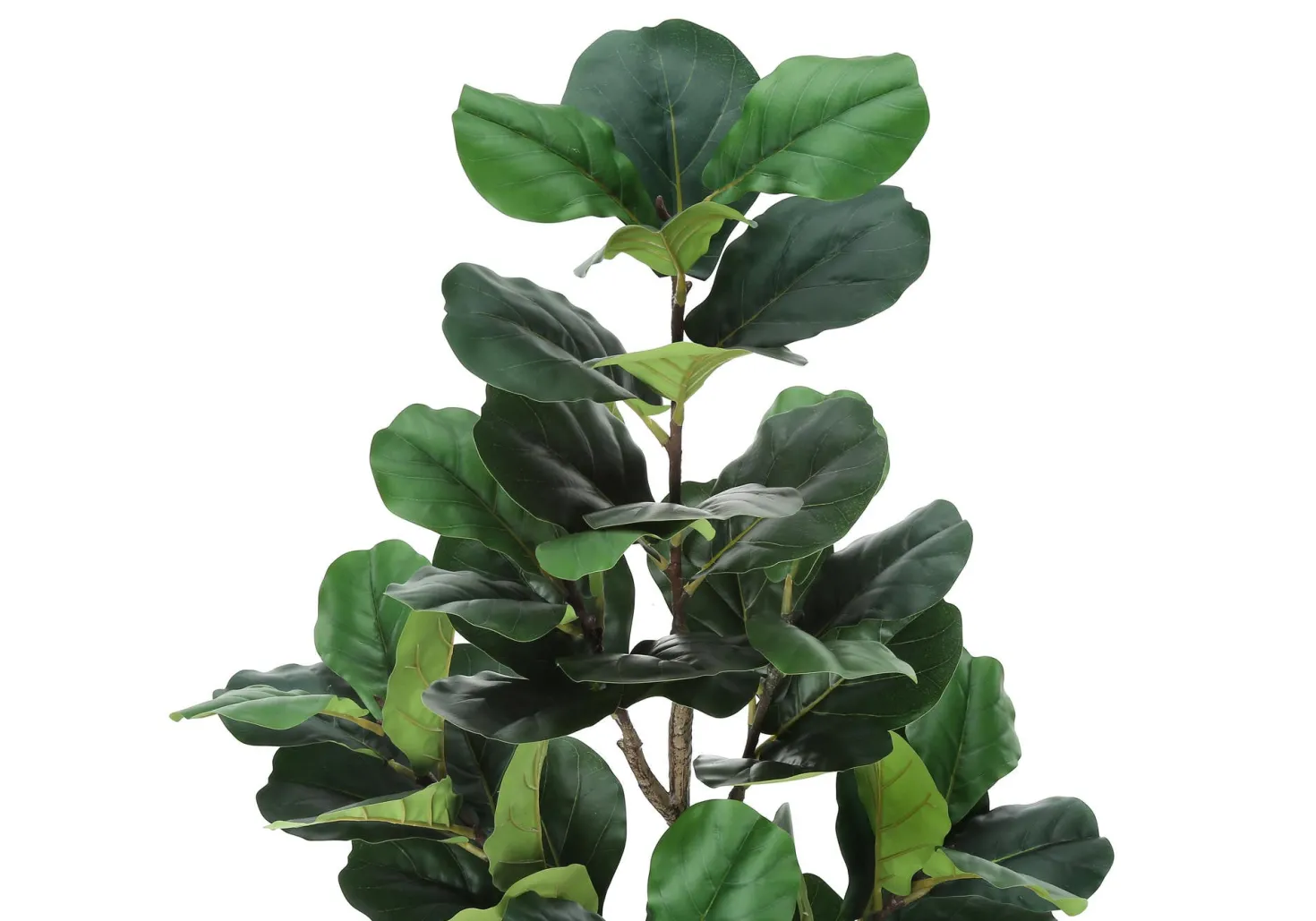 Plante artificielle - 49"H, figuier intérieur pot 5"
