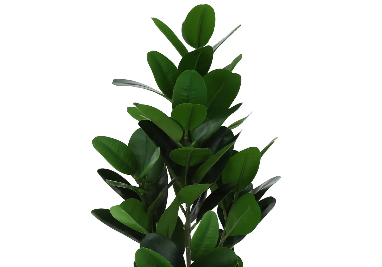 Plante artificielle - 28"H, garcinia intérieur pot 5"