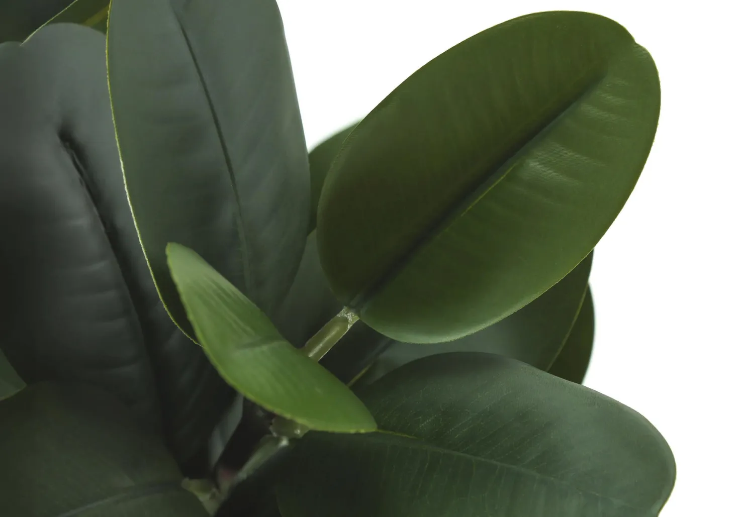Plante artificielle - 31"H, garcinia intérieur pot 7"