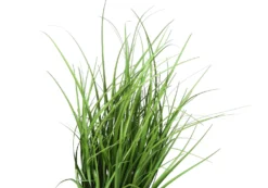 Plante artificielle - 23