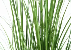 Plante artificielle - 47