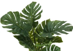 Plante artificielle - 45