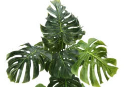 Plante artificielle - 55