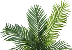 Plante artificielle - 47