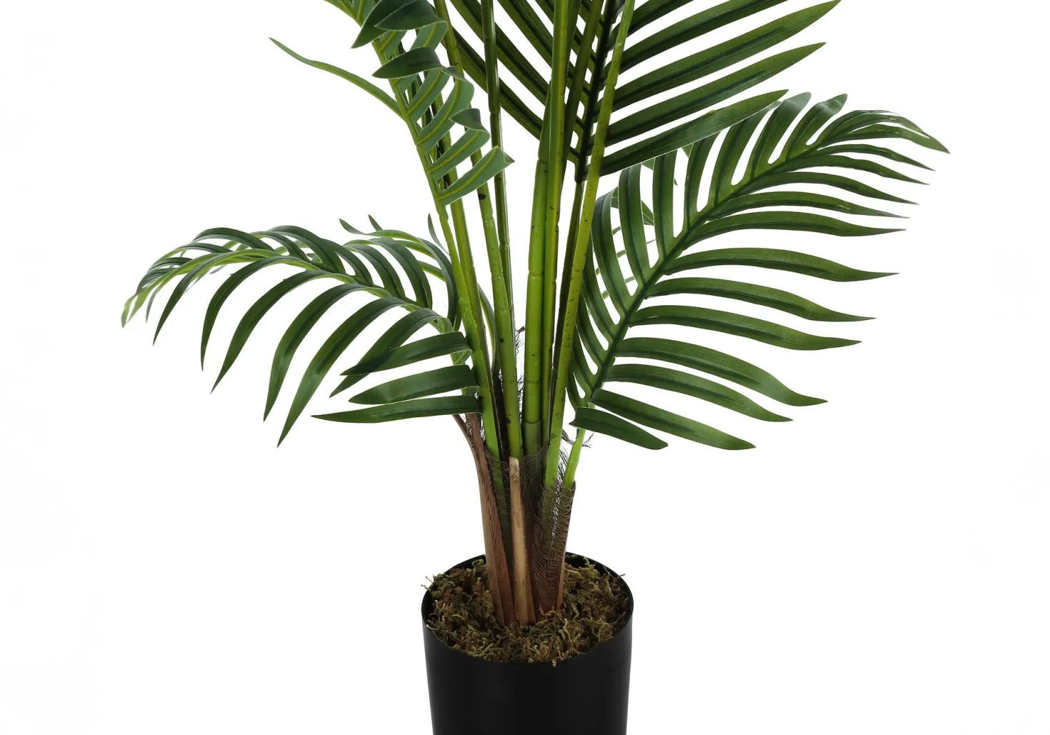 Plante artificielle - 57"H, palmier intérieur pot 5"