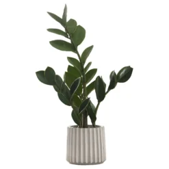Plante artificielle - 20"H, zz intérieur pot ciment 5"