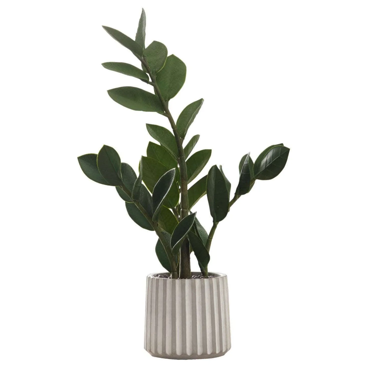 Plante artificielle - 20"H, zz intérieur pot ciment 5"