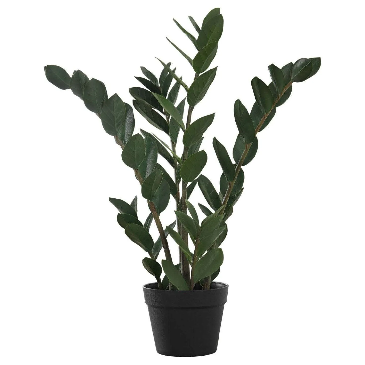 Plante artificielle - 29"H, zz intérieur pot 6"