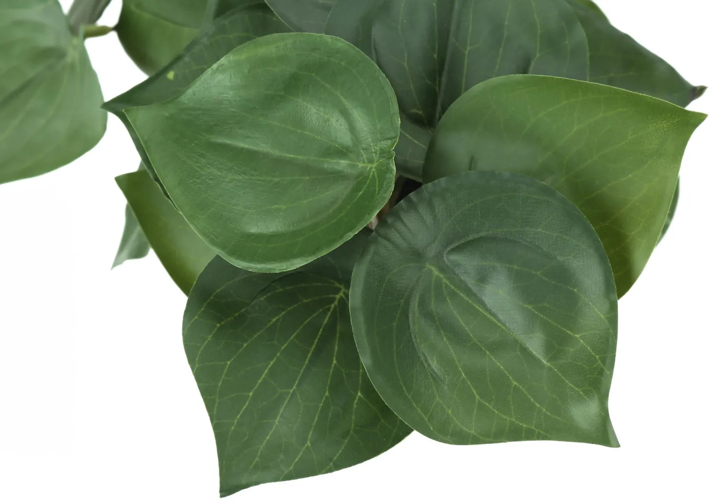 Plante artificielle - 2mcx, 8"H alocasia pot ciment 5"