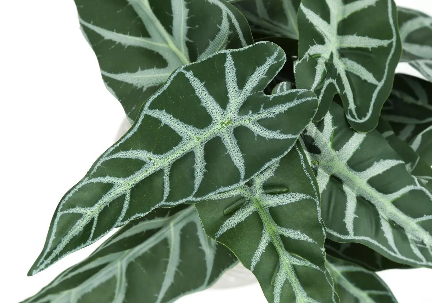 Plante artificielle - 2mcx, 8"H alocasia pot ciment 5"