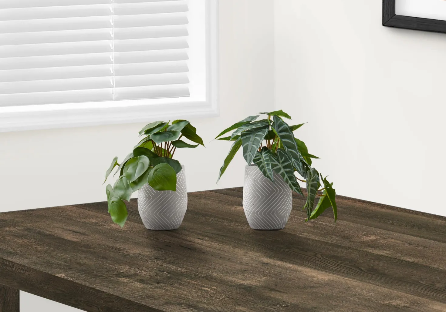 Plante artificielle - 2mcx, 8"H alocasia pot ciment 5"