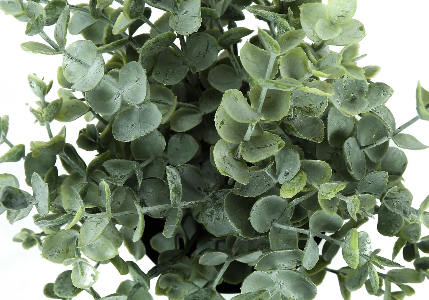 Plante artificielle - 2mcx, 11"H eucalyptus/gazon pot 5"