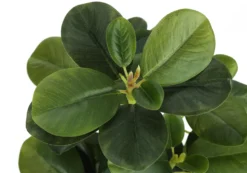 Plante artificielle - 2mcx, 14