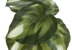 Plante artificielle - 2mcx/ 13