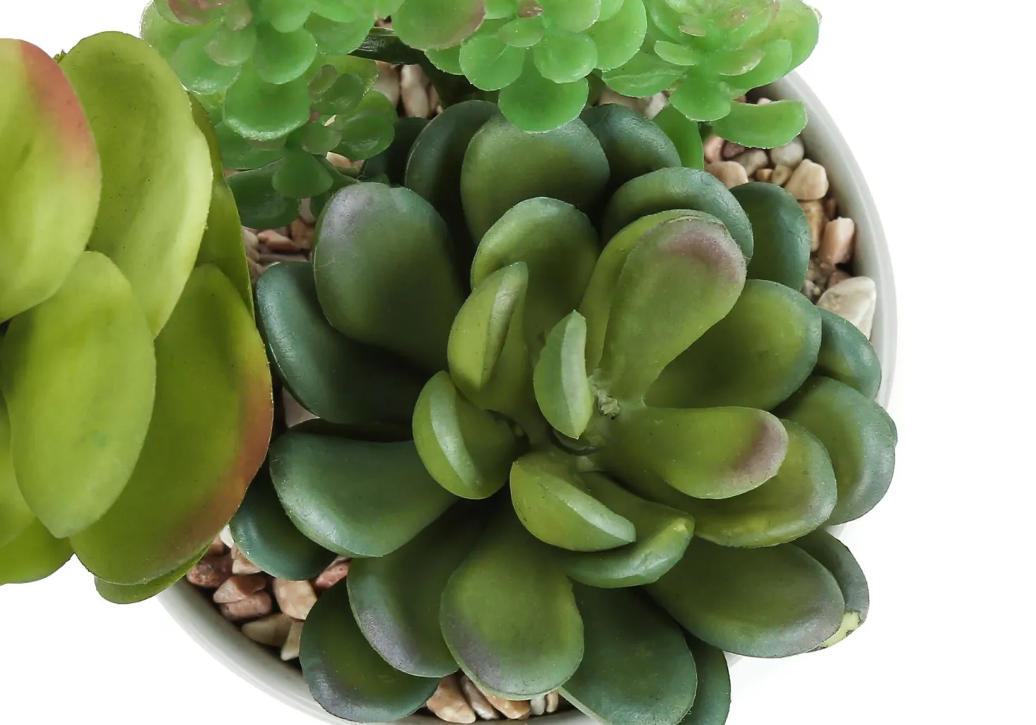 Plante artificielle - 2mcx/7"H succulent pot ceramique 3"