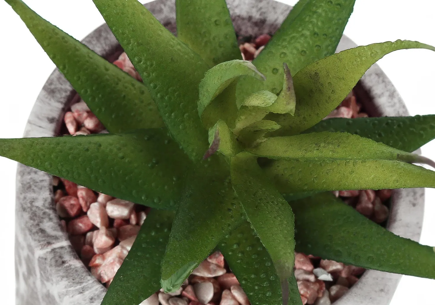 Plante artificielle - 2mcx, 7"H succulent pot ciment 4"