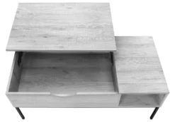 Table à café rectangulaire avec rangement - Monarch