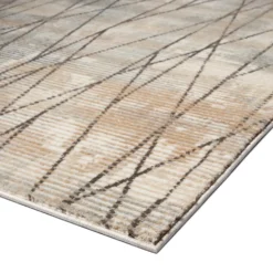 Tapis d’intérieur - 5 x 8