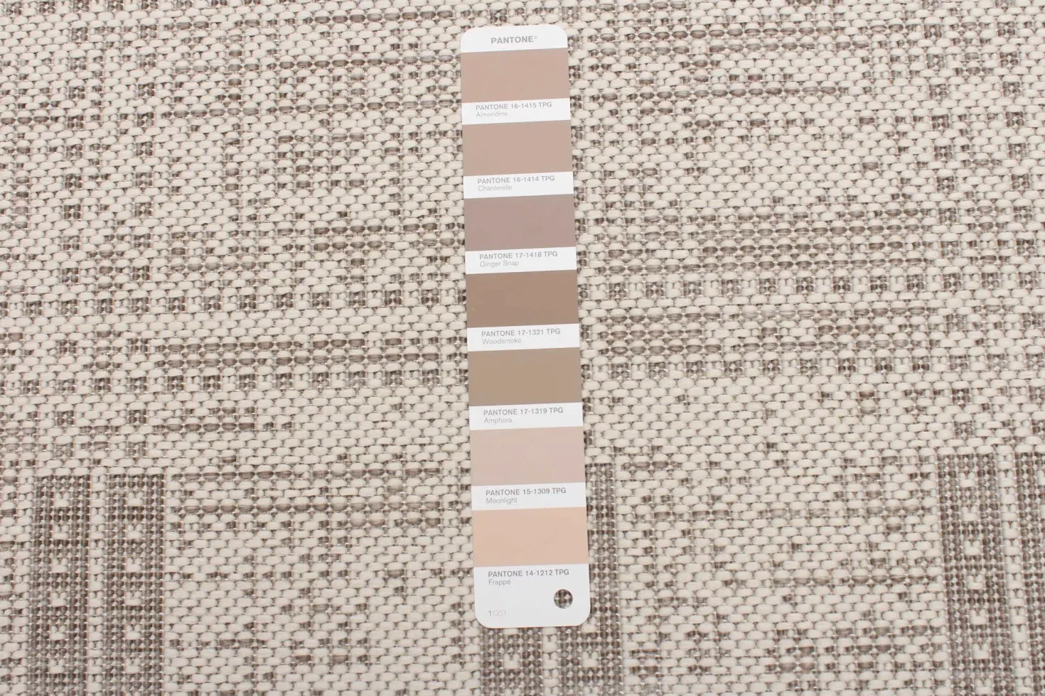 Tapis intérieur ou extérieur - 2 x 4