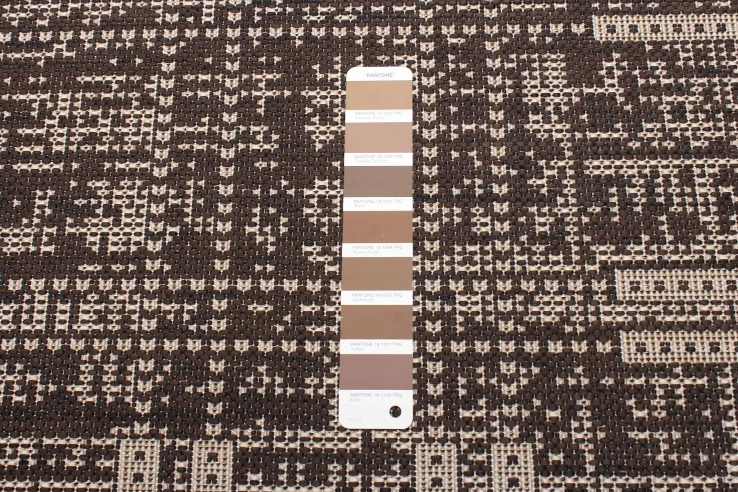 Tapis intérieur ou extérieur - 4 x 6