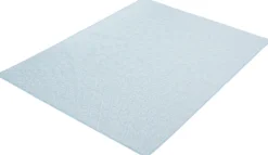 Tapis intérieur ou extérieur - 5 x 7