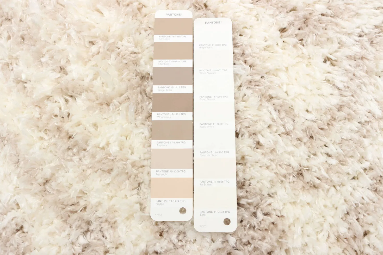 Tapis intérieur à poils longs - 7 x 10