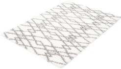 Tapis intérieur à poils longs - 8 x 10