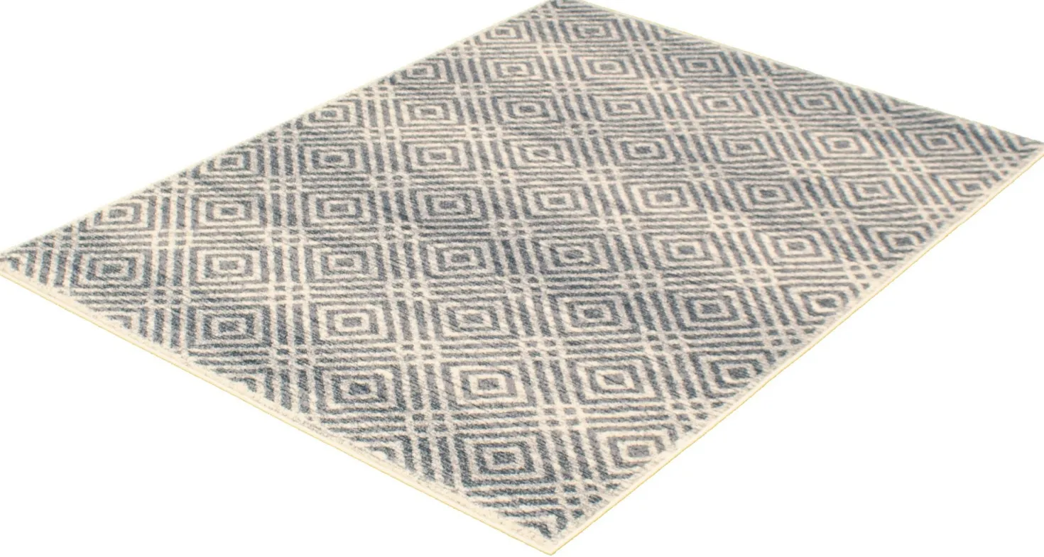 Tapis intérieur - 4 x 6