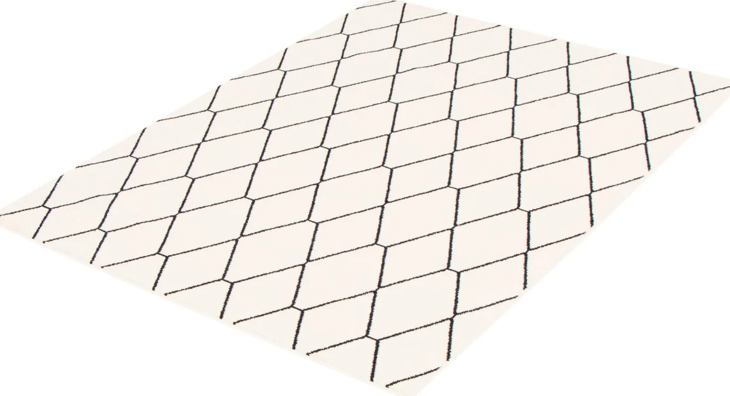 Tapis intérieur - 5 x 7